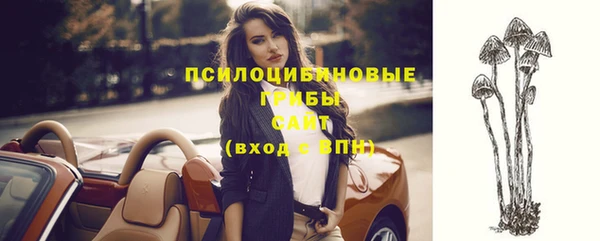 прущая мука Армянск