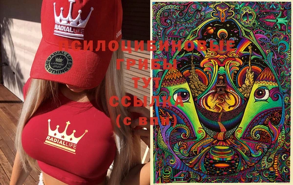 метадон Нягань