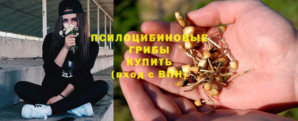 таблы Арсеньев