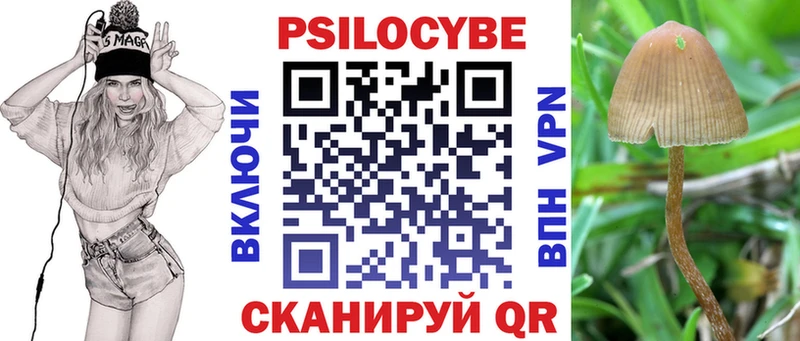Псилоцибиновые грибы мицелий  kraken ссылки  Ржев 